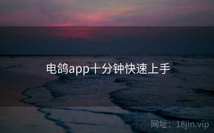 电鸽app十分钟快速上手 电鸽app十分钟快速上手