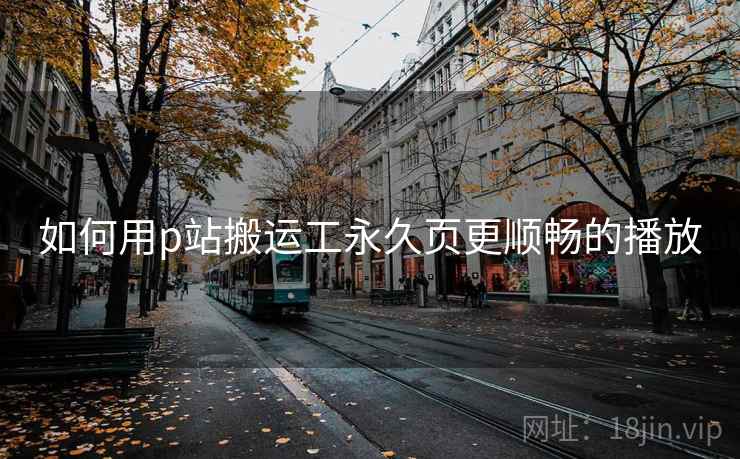如何用p站搬运工永久页更顺畅的播放