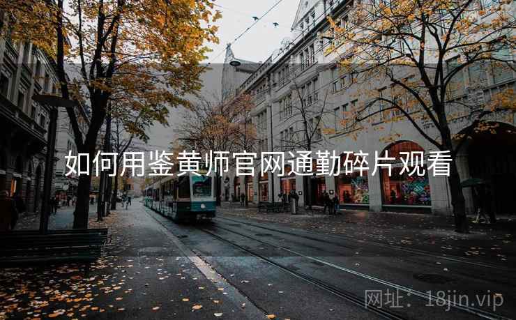 如何用鉴黄师官网通勤碎片观看