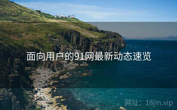 面向用户的91网最新动态速览