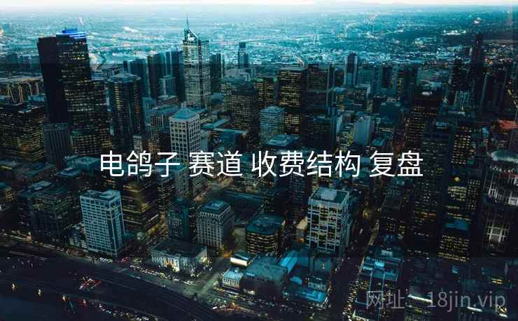 电鸽子 赛道 收费结构 复盘 电鸽子 赛道 收费结构 复盘