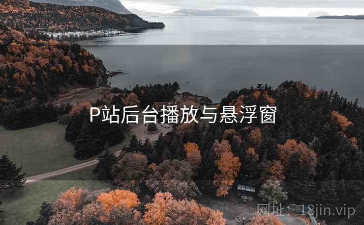 P站后台播放与悬浮窗 P站后台播放与悬浮窗