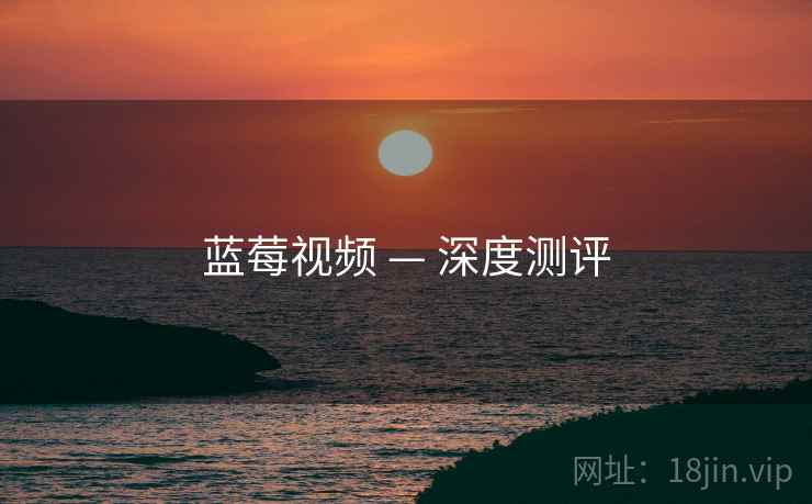 蓝莓视频 — 深度测评