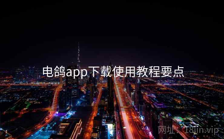 电鸽app下载使用教程要点 电鸽app下载使用教程要点