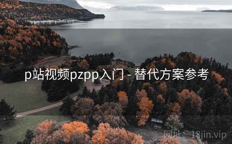 p站视频pzpp入门 - 替代方案参考 p站视频pzpp入门 - 替代方案参考